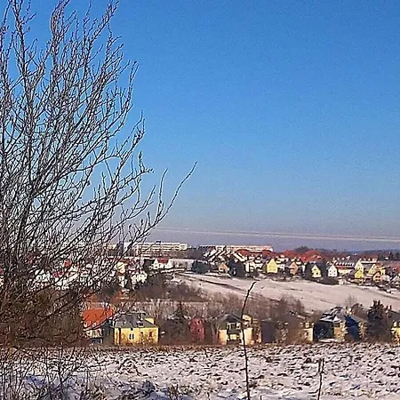 Wiete Lenk Comfortable *