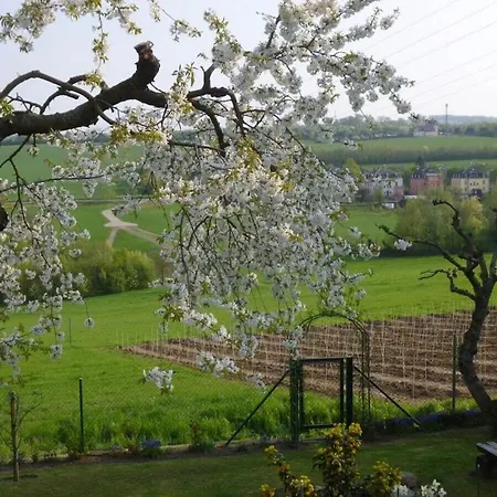 Wiete Lenk Comfortable Holiday home Dresden