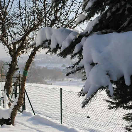 Wiete Lenk Comfortable * Drezno