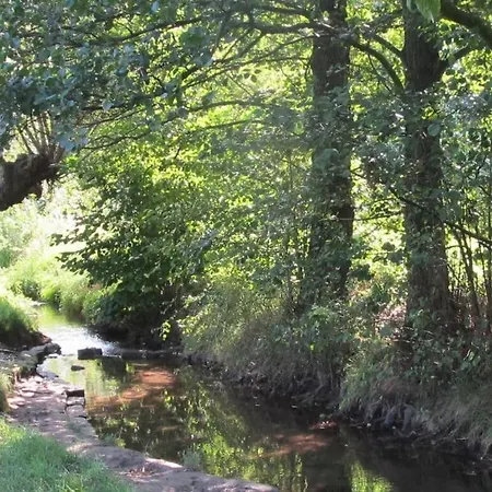 Wiete Lenk Comfortable Сasa de vacaciones Dresde