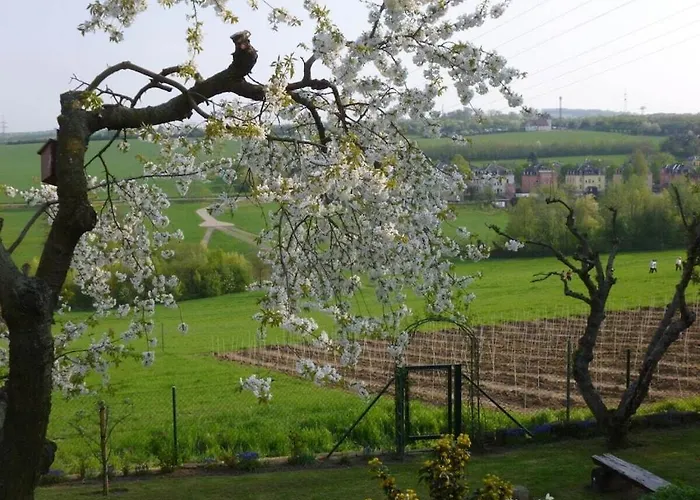 Wiete Lenk Comfortable Dom wakacyjny Drezno