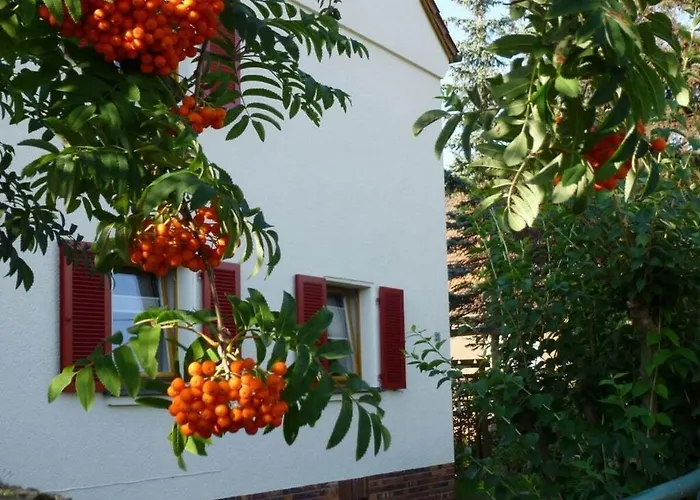 Wiete Lenk Comfortable 度假居 *