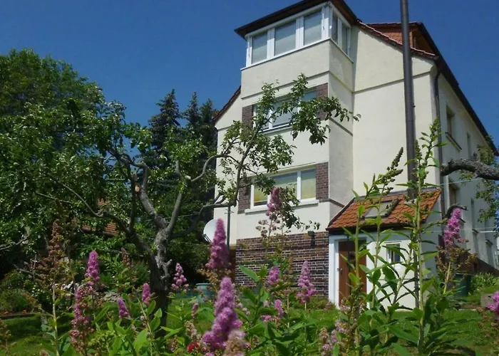 Wiete Lenk Comfortable *