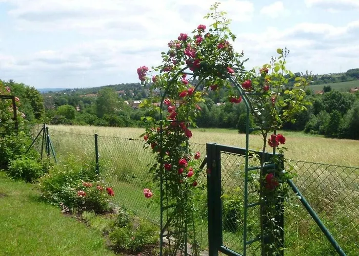 Wiete Lenk Comfortable * Drezno