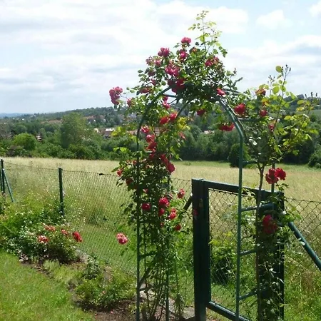 Wiete Lenk Comfortable * Dresden