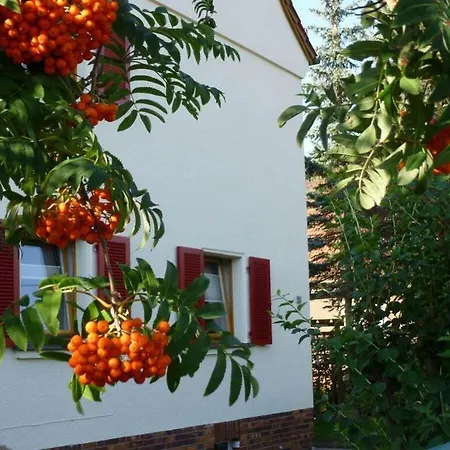 Wiete Lenk Comfortable Semesterbostad *